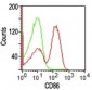 CD86 Antibody [Clone BU63]