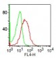 CD34 Antibody  [Clone ICO-115]