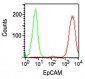 EpCAM Antibody [Clone VU-1D9]