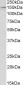 HDAC6 Antibody (C-Term)