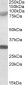 TRIM2 Antibody (C-Term)