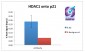 Histone Deacetylase 1 Antibody (C-Term)