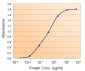 Prealbumin / Transthyretin Antibody (internal region)