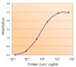 ACACB Antibody (internal region)