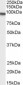 TGM2 Antibody (C-Term)