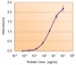 NODAL Antibody (internal region)