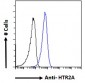HTR2A Antibody (internal region)
