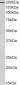 MYH9  Antibody (internal region)