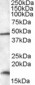 RBM3 Antibody (C-Term)