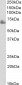 TERF1 / TRF1 Antibody (internal region)