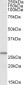 CHCHD3 Antibody (internal region)