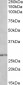 HOXB9 Antibody (internal region)