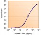 ALDH2 Antibody (internal region)