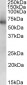 ALDH1B1 Antibody (interral region)