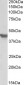 SLC2A4 / GLUT4 Antibody (C-Term)