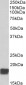 CIRBP (aa 161-172) Antibody (C-Term)