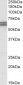 CADM1 Antibody (internal region)