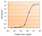 PRKAA2 Antibody (internal region)