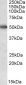 CYP2E1 Antibody (internal region)