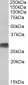 HLA-DQA2 & HLA-DQA1 Antibody (C-Term)