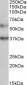 CBARA1 (aa113-126) Antibody (internal region)