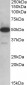 TXNDC5 (aa281-295) Antibody (internal region)