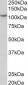 thyroid peroxidase Antibody (C-Term)