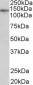 TERT (aa597-611) Antibody (internal region)