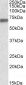 Lamin B1 (aa526-537) Antibody (internal region, near C-Term)