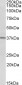 CD38 (aa226-237) Antibody (internal region)