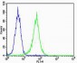 PEBP (Phosphatidylethanolamine Binding Protein) Antibody