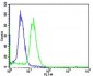 TCL1A Antibody (Center)