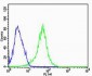 REG3A Antibody (C-term)