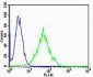 PSEN2 Antibody (N-term)