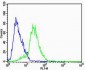 STRADA Antibody (C-term)