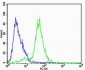 FXYD6 Antibody (C-term)