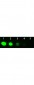 F(ab')2  Anti-Rabbit IgG (H&L)  (Fluorescein Conjugated) Pre-Adsorbed Secondary Antibody