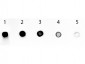 Anti-Human IgG F(c)  (Alkaline Phosphatase Conjugated) Secondary Antibody