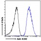 IL1R2 Antibody (internal region)