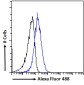 MTMR9 (C Terminus) Antibody (C-Term)