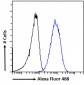 RNF13 / RZF (isoform 1 and 3) Antibody (C-Term)