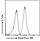 GERP / TRIM8 Antibody (C-Term)