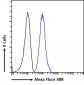 Plexin D1 Antibody (internal region)