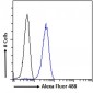 Histamine Receptor H2 Antibody (C-Term)