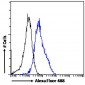 Tryptophan hydroxylase 2 / TPH2 Antibody (internal region)