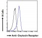 Oxytocin Receptor Antibody (internal region)