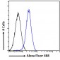 GADD45gamma (aa 18 to 28) Antibody (internal region)