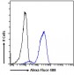 ITK Antibody (internal, near C-Term)