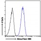 SMC5 Antibody (Internal region)