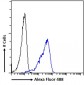 SEPT4 (aa425-435) Antibody (internal region)